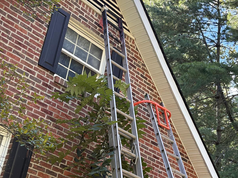 WhatsApp Image 2025-10-20 at 23.43.55 (2)