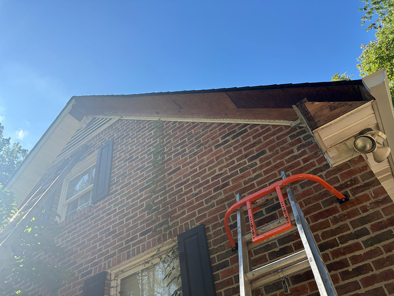 WhatsApp Image 2025-10-20 at 23.43.55 (3)