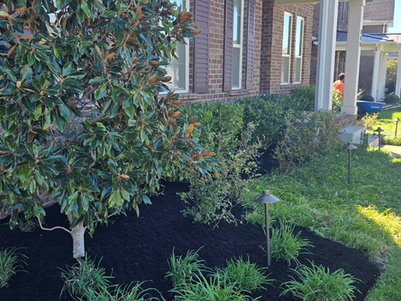 WhatsApp Image 2025-10-21 at 18.59.38