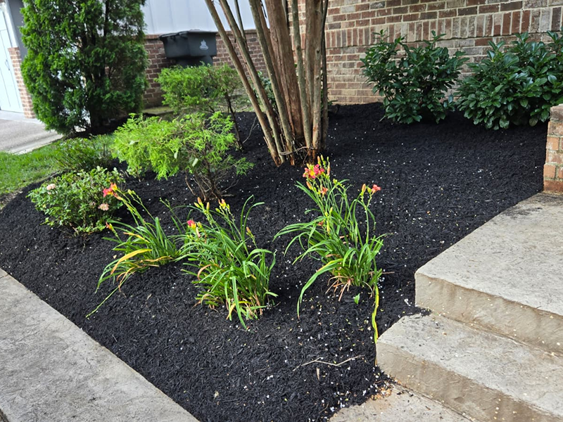 WhatsApp Image 2025-10-21 at 18.59.39