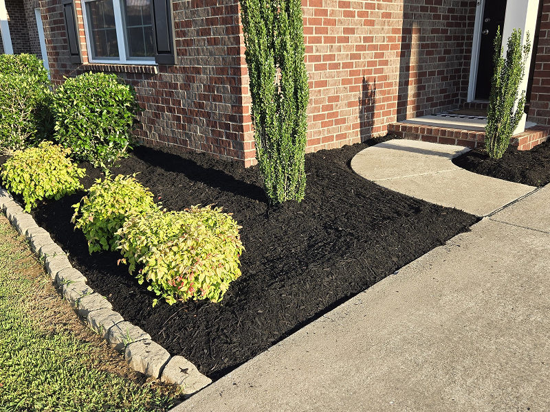 WhatsApp Image 2025-10-21 at 18.59.46