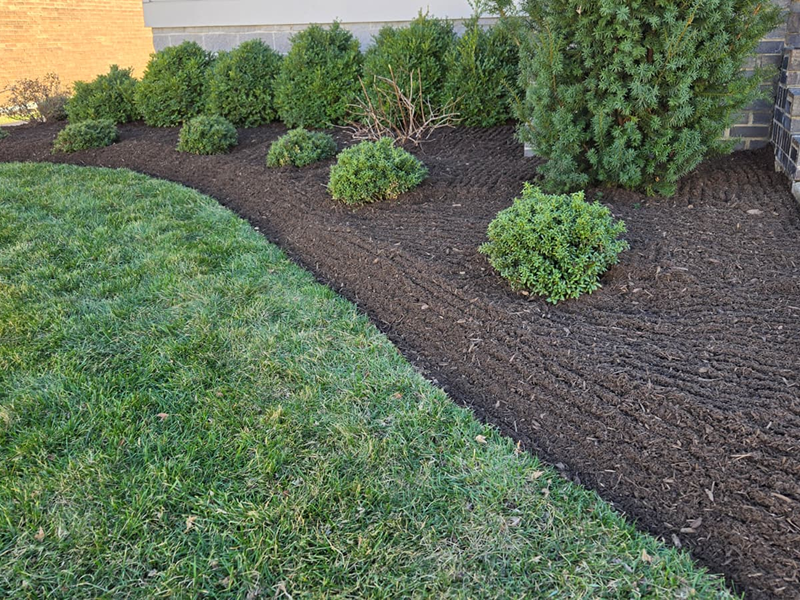 WhatsApp Image 2025-10-21 at 18.59.49