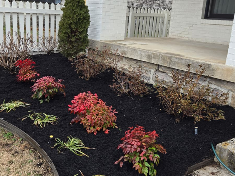 WhatsApp Image 2025-10-21 at 18.59.55