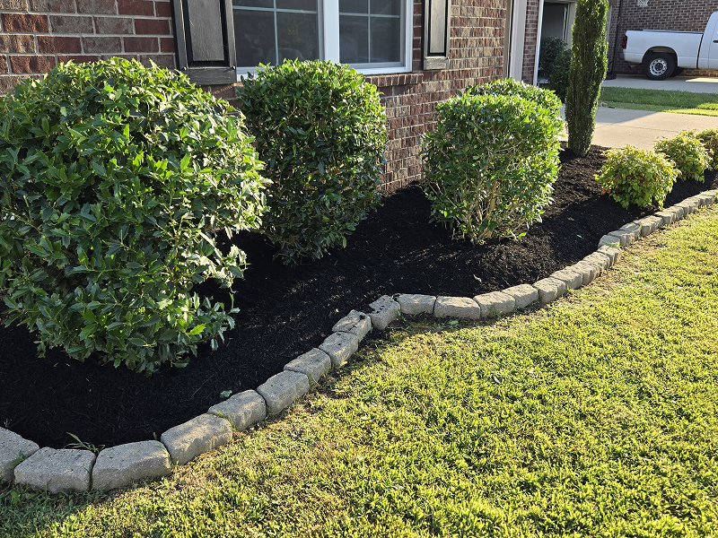 WhatsApp Image 2025-10-21 at 19.00.06