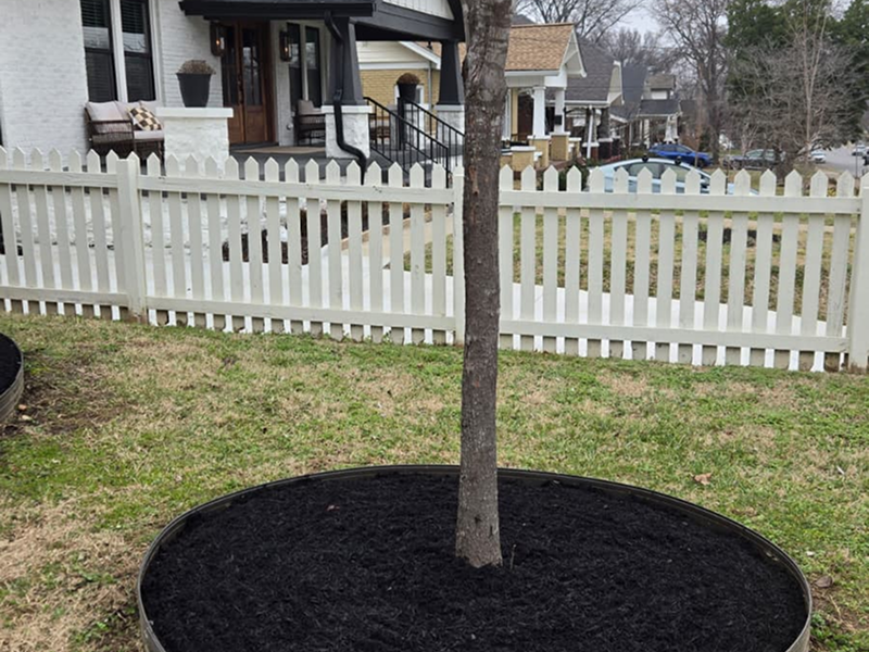 WhatsApp Image 2025-10-21 at 19.00.07