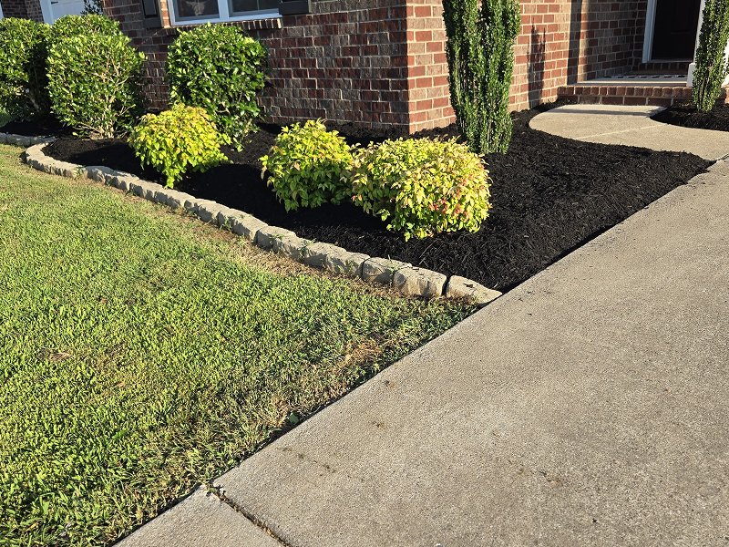 WhatsApp Image 2025-10-21 at 19.00.15