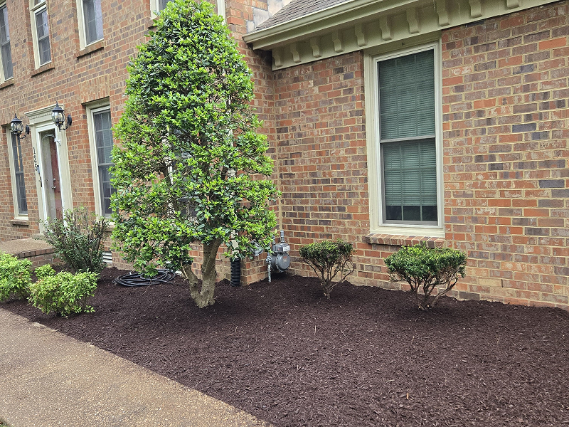 WhatsApp Image 2025-10-21 at 19.00.16