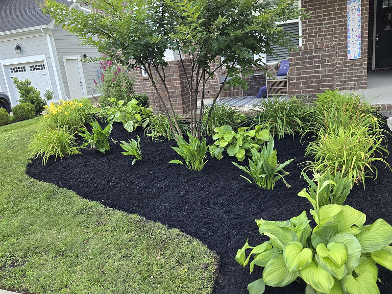 WhatsApp Image 2025-10-21 at 19.00.17