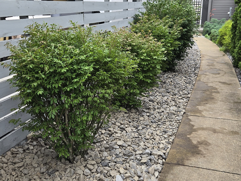 WhatsApp Image 2025-10-21 at 19.00.18 (1)