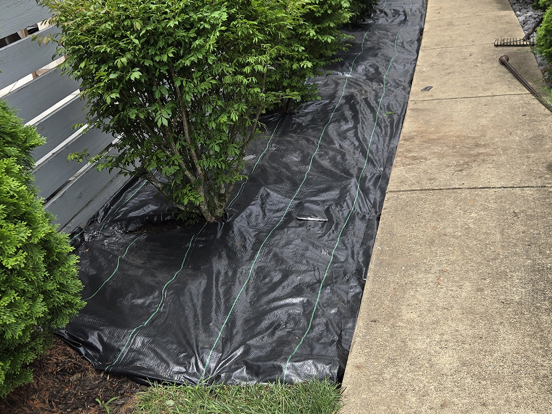 WhatsApp Image 2025-10-21 at 19.00.18