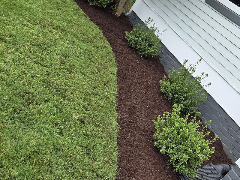 WhatsApp Image 2025-10-21 at 19.00.21