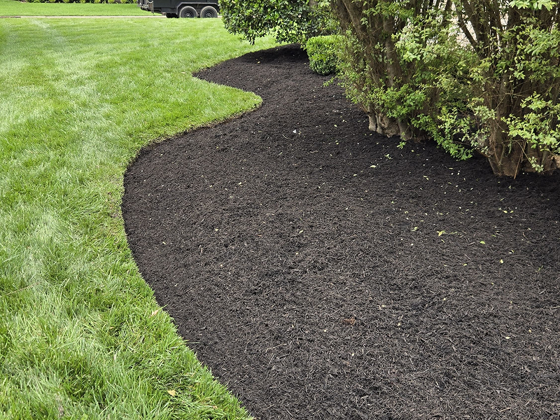 WhatsApp Image 2025-10-21 at 19.00.23 (1)