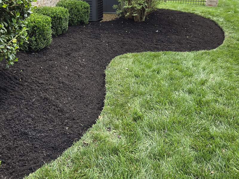 WhatsApp Image 2025-10-21 at 19.00.23 (2)