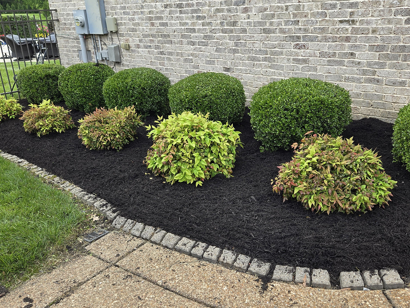 WhatsApp Image 2025-10-21 at 19.00.23 (3)