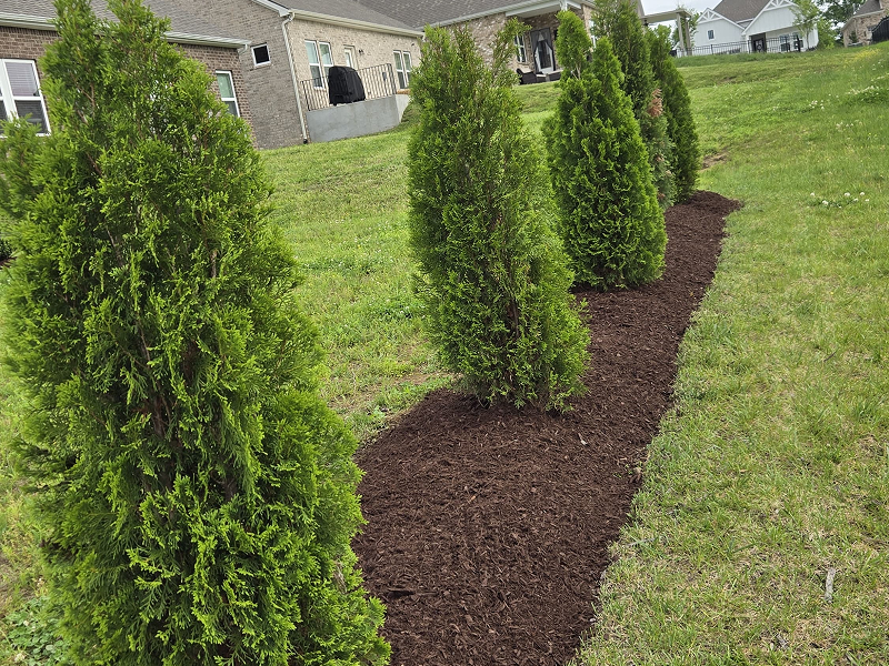 WhatsApp Image 2025-10-21 at 19.00.23