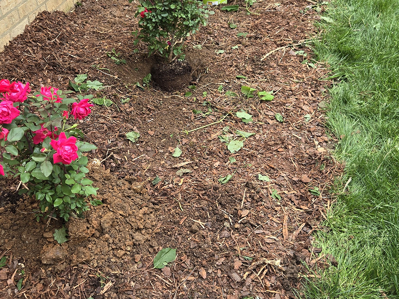 WhatsApp Image 2025-10-21 at 19.00.24 (1)