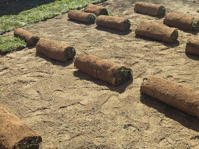 WhatsApp Image 2025-10-21 at 19.00.24 (2)