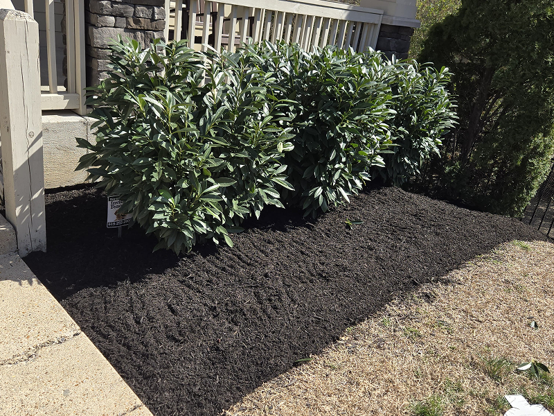 WhatsApp Image 2025-10-21 at 19.00.24 (3)