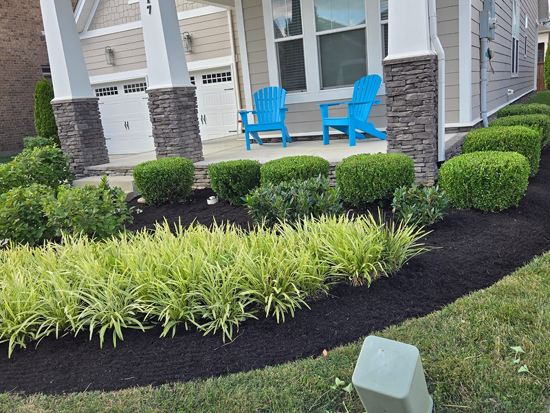 WhatsApp Image 2025-10-21 at 19.00.24 (4)