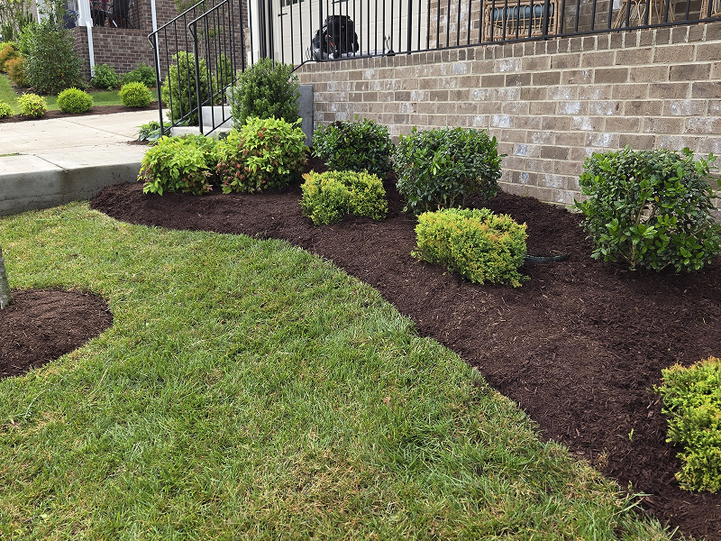 WhatsApp Image 2025-10-21 at 19.00.24