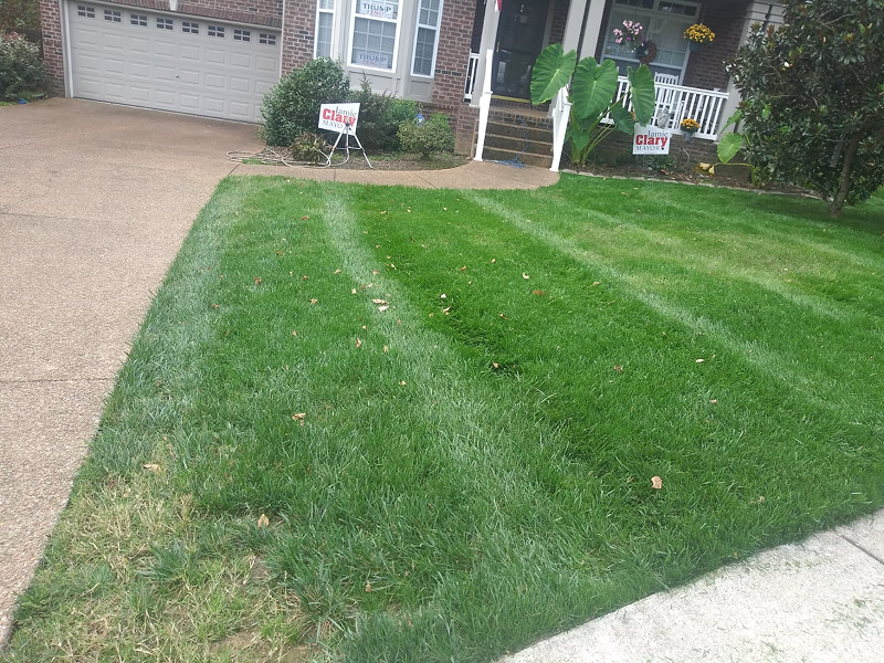 WhatsApp Image 2025-10-21 at 19.06.25 (1)