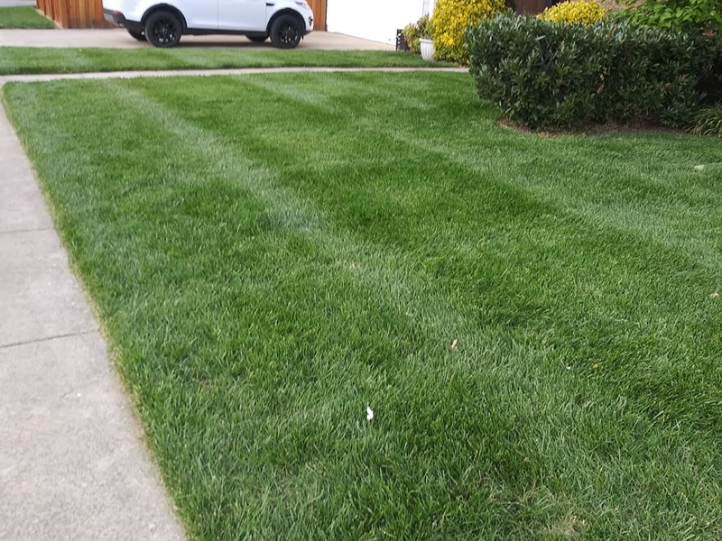 WhatsApp Image 2025-10-21 at 19.06.25