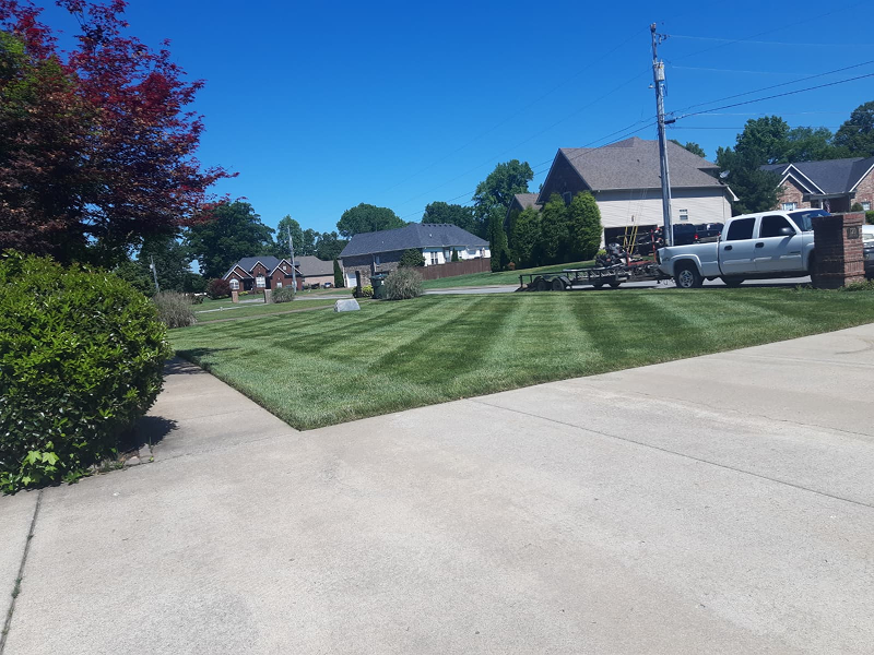 WhatsApp Image 2025-10-21 at 19.06.39