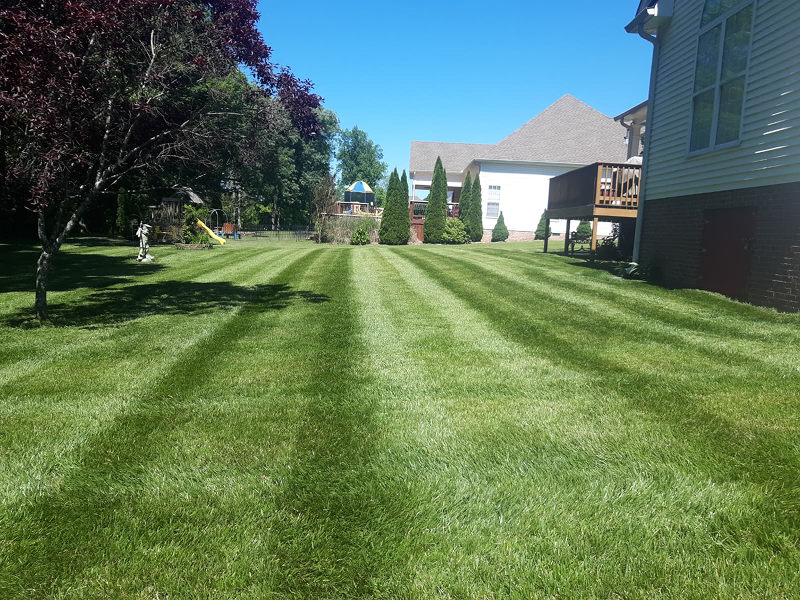 WhatsApp Image 2025-10-21 at 19.06.42