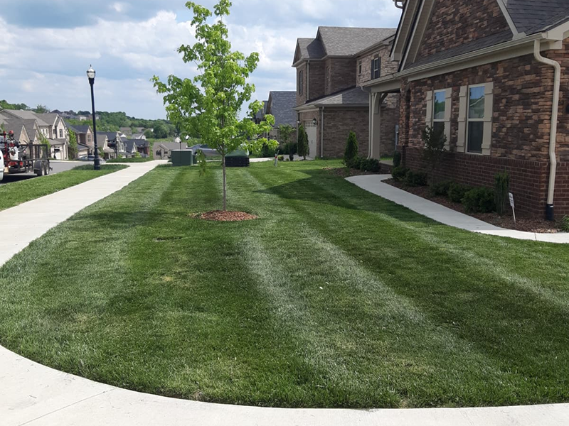 WhatsApp Image 2025-10-21 at 19.06.43