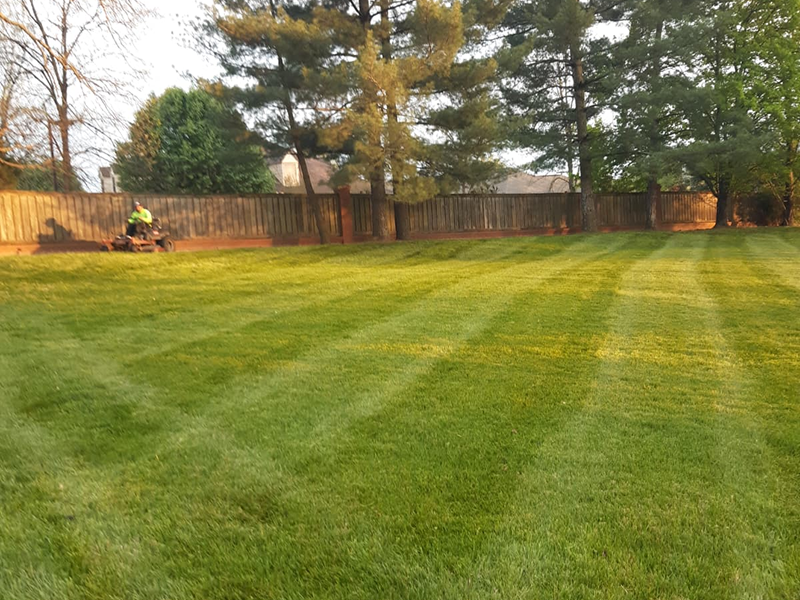 WhatsApp Image 2025-10-21 at 19.06.44 (1)