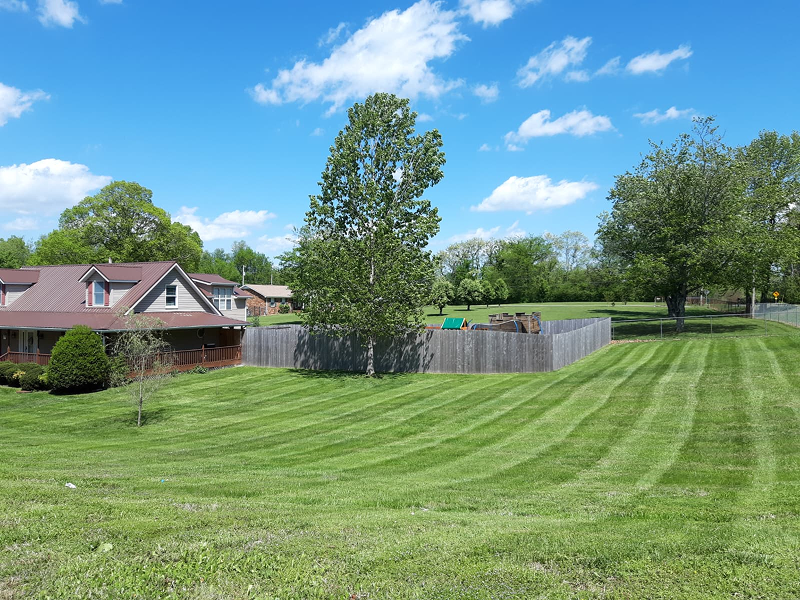 WhatsApp Image 2025-10-21 at 19.06.44