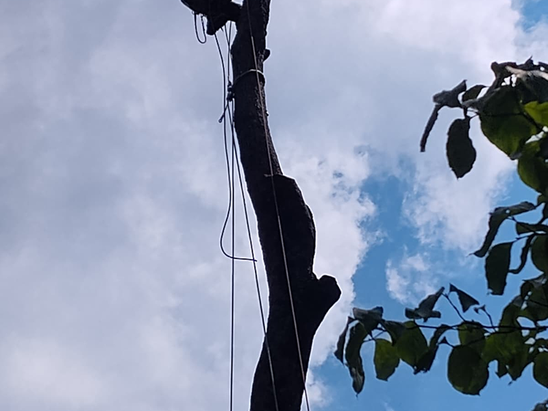 WhatsApp Image 2025-11-05 at 13.41.34