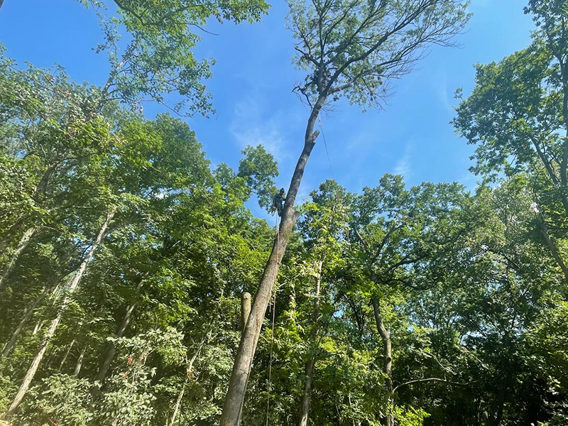 WhatsApp Image 2025-11-05 at 13.41.39 (1)