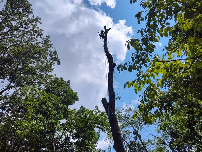 WhatsApp Image 2025-11-05 at 13.41.39 (2)