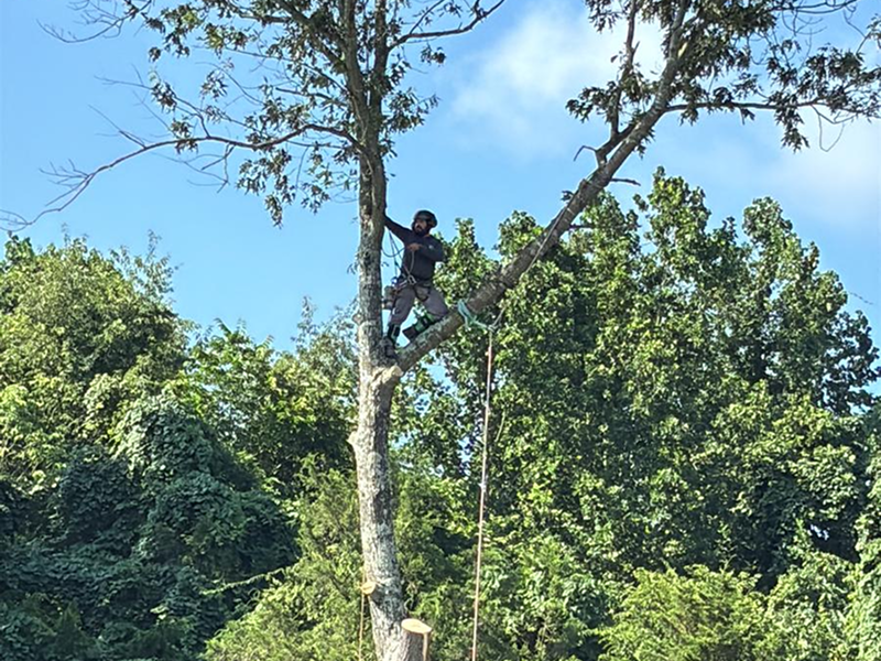 WhatsApp Image 2025-11-05 at 13.41.39