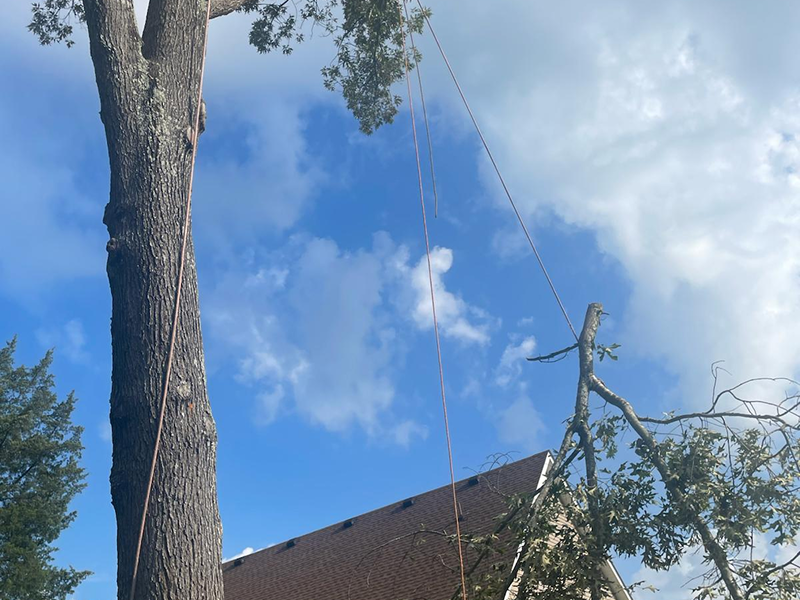 WhatsApp Image 2025-11-05 at 13.41.40